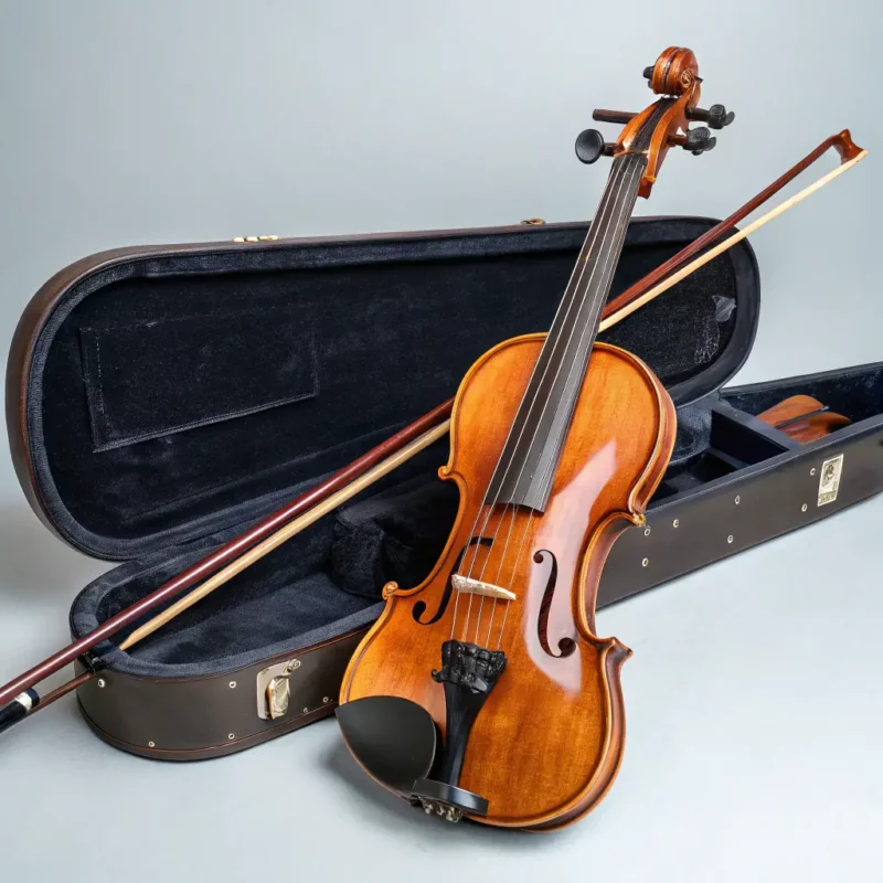 ViolinCraft Professional Bow Set